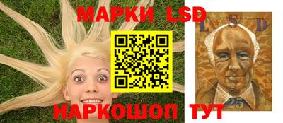 дмт Дубна