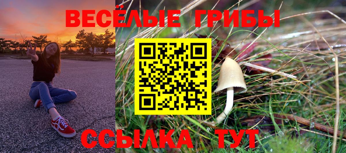 Псилоцибиновые грибы Psilocybe  Псилоцибиновые грибы Cubensis  Мценск  Вход с VPN 
